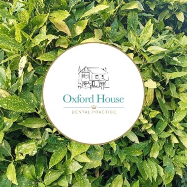 Oxford House Team Member