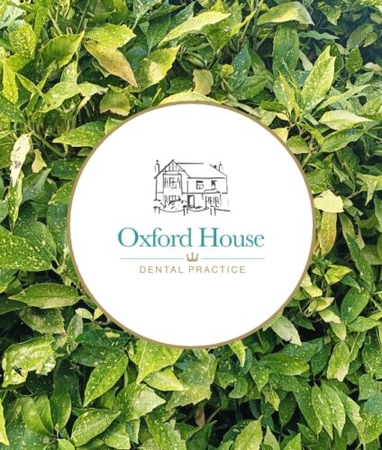 Oxford House Team